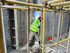 纽卡斯尔喷气机vs墨尔本图片